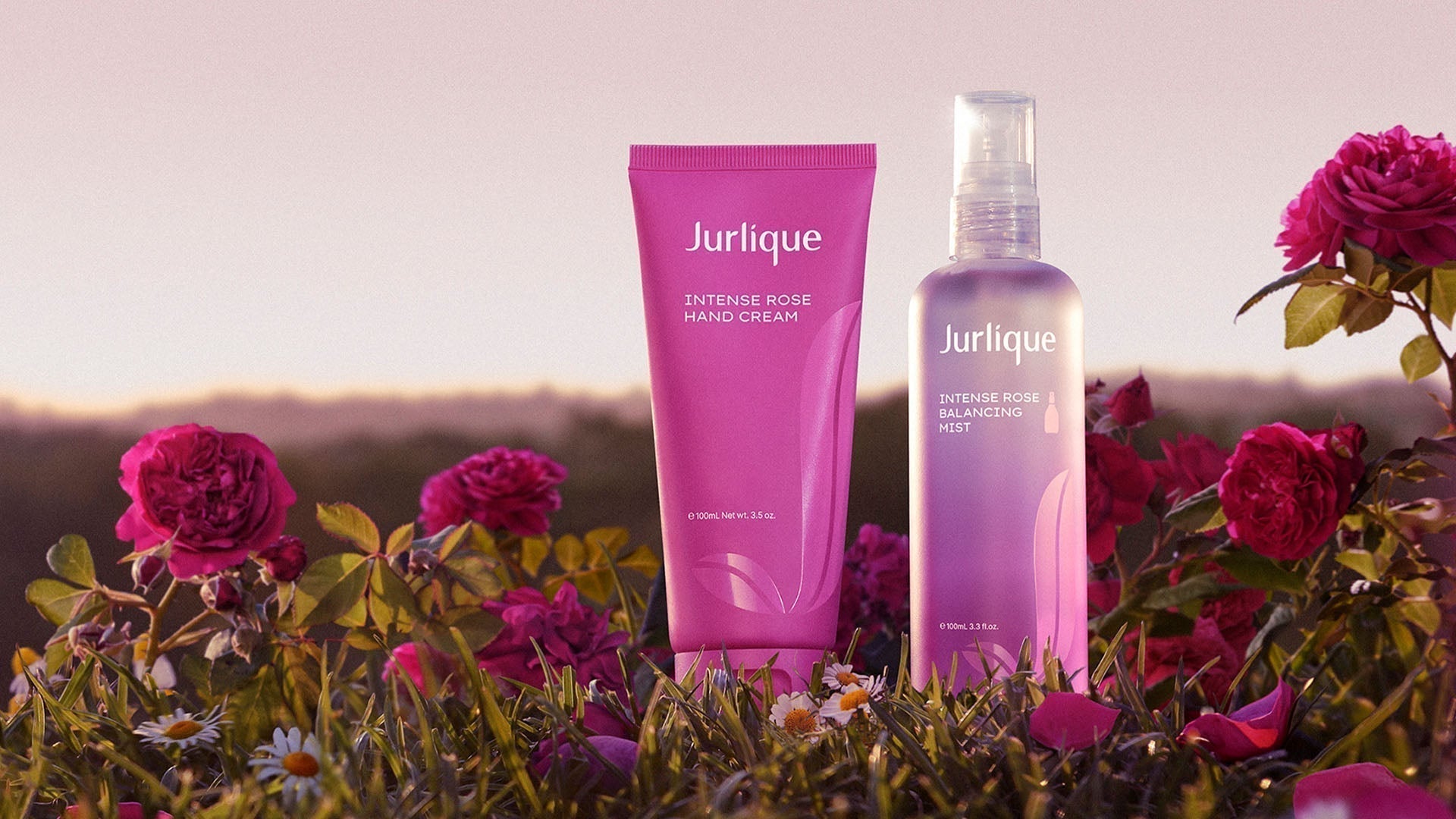 MEET OUR NEWEST BLOOM: THE INTENSE ROSE