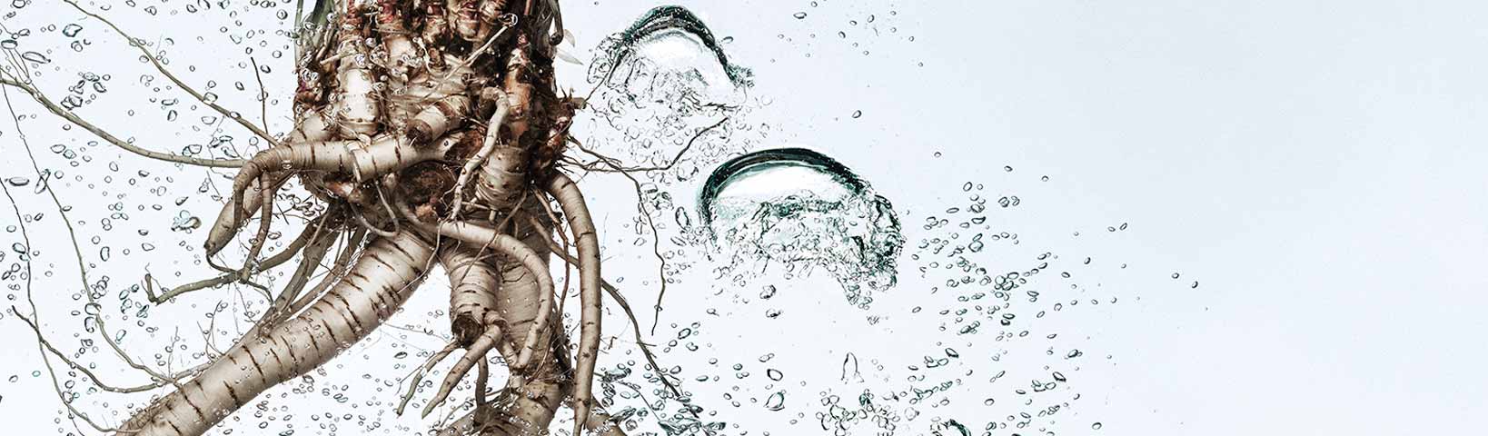 EVERYTHING YOU NEED TO KNOW ABOUT FACE ESSENCES - Jurlique US