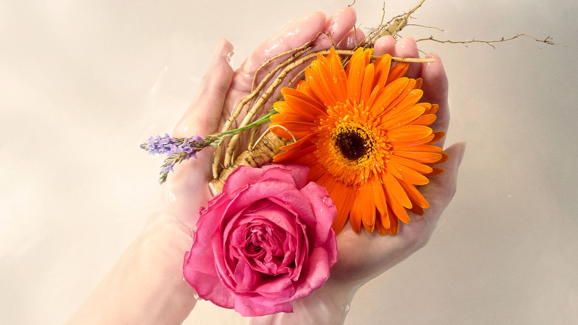 Hydrated Skin, powered by nature - Jurlique US