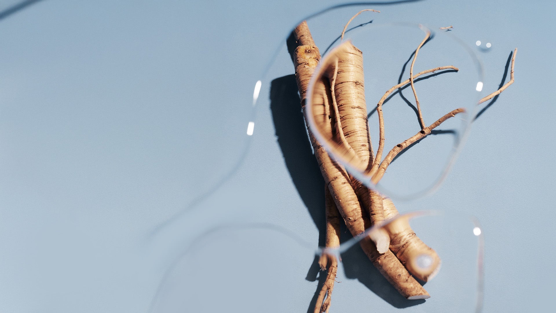 The Botanical Behind Our Bestselling Essence