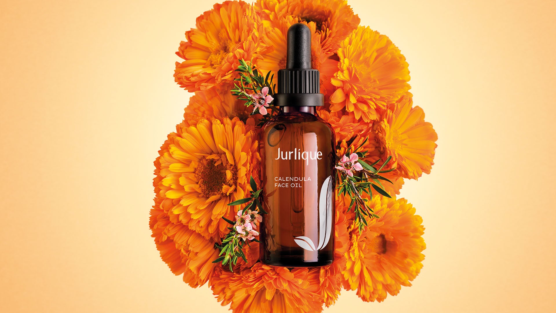 Why Calendula Face Oil is our Sensitive Skin Saver – Jurlique US