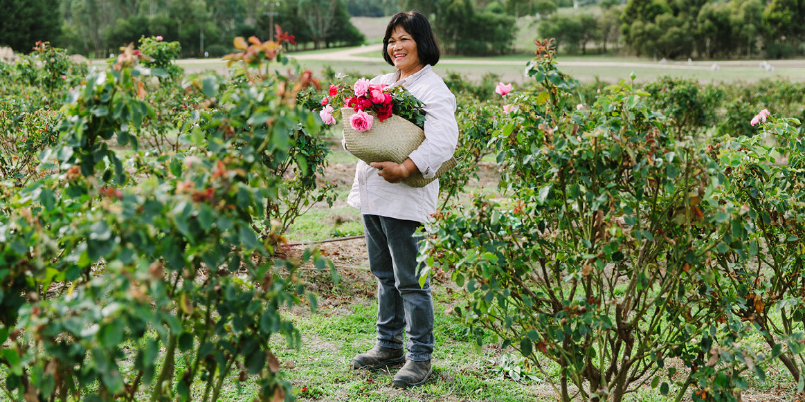 THE ROSE WHISPERER - Jurlique US