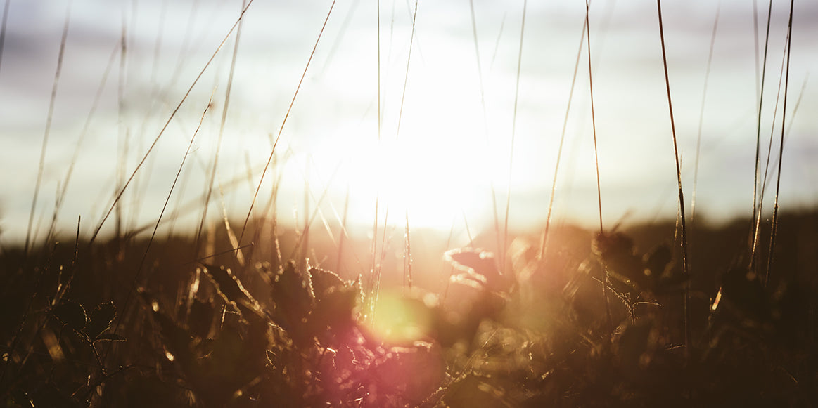 EAT YOUR WAY TO RADIANT SKIN WITH JACQUELINE ALWILL - Jurlique US