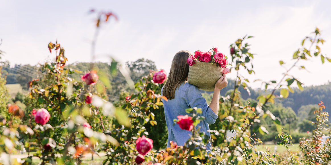 BOTANICALS LOVINGLY PICKED BY HAND - Jurlique US