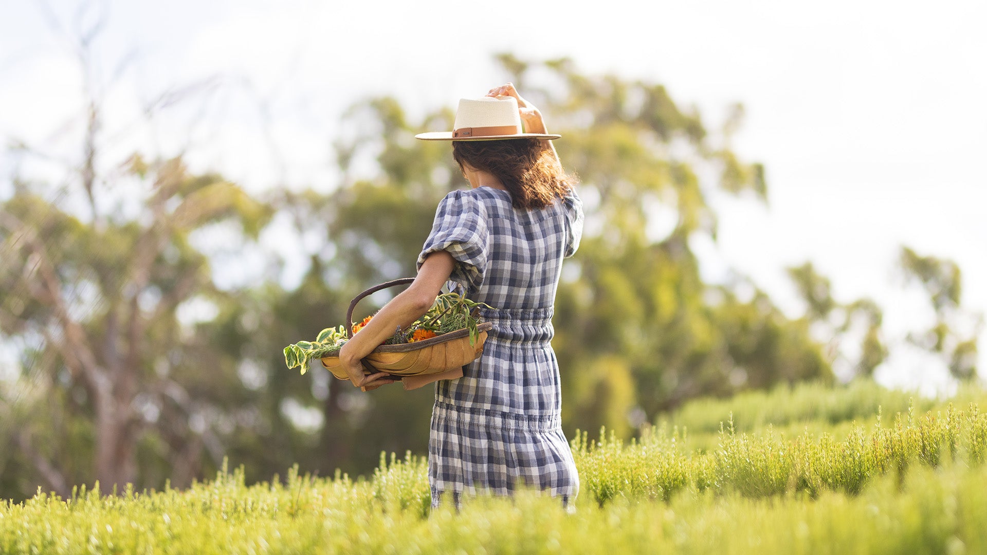 Nature’s transformative path | a closer look at Jurlique’s seed to skin process