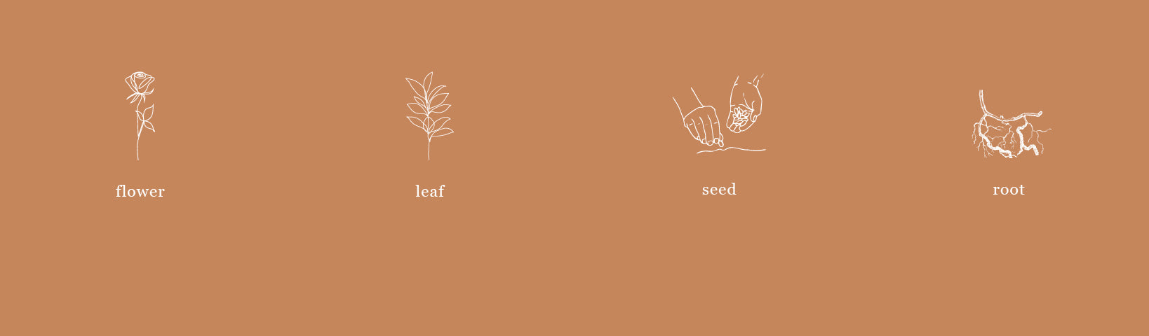 WHAT IS BIODYNAMIC FARMING…AND WHY DOES IT MATTER? - Jurlique US