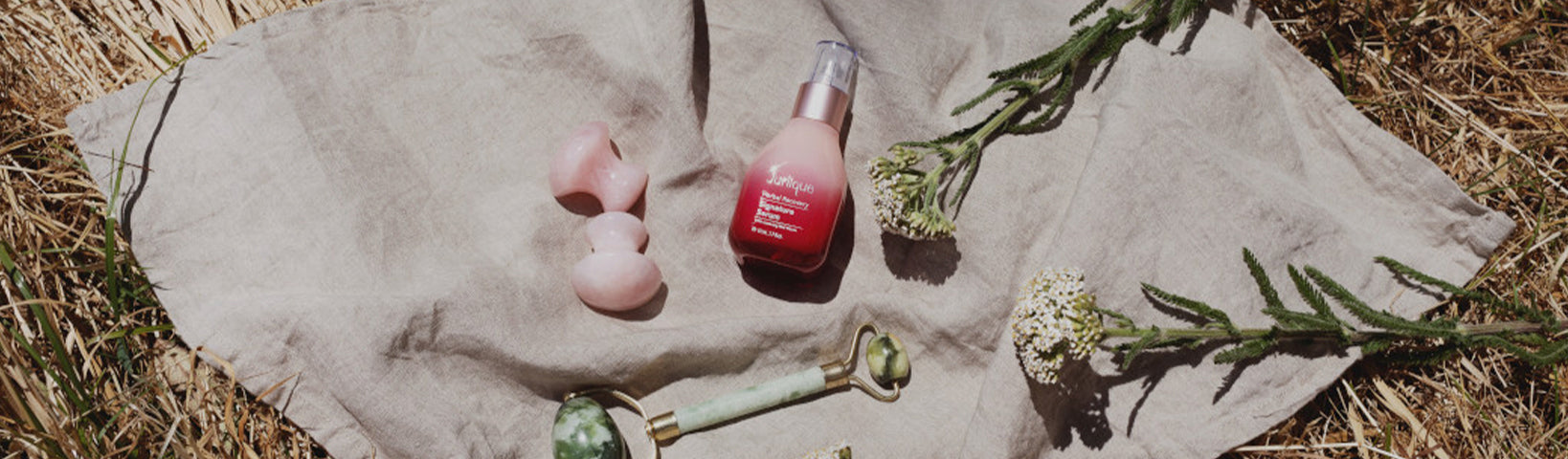 WHAT ARE NATURAL ACTIVES IN SKIN CARE? - Jurlique US
