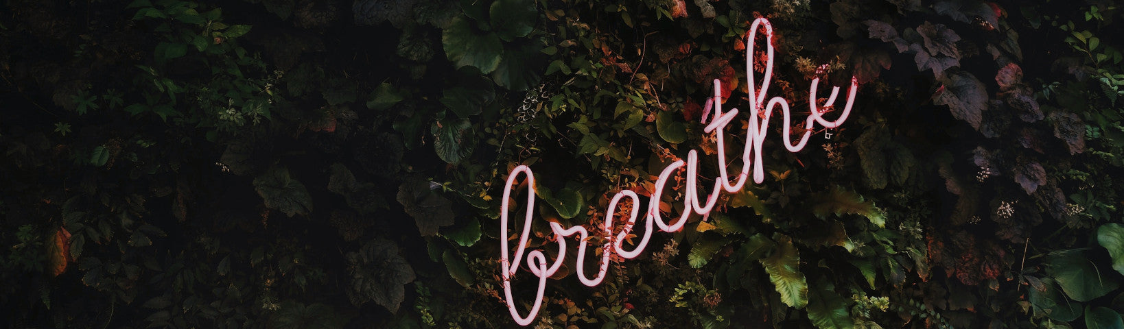9 STEPS TO BECOMING THE HEALTHIEST VERSION OF YOURSELF - Jurlique US