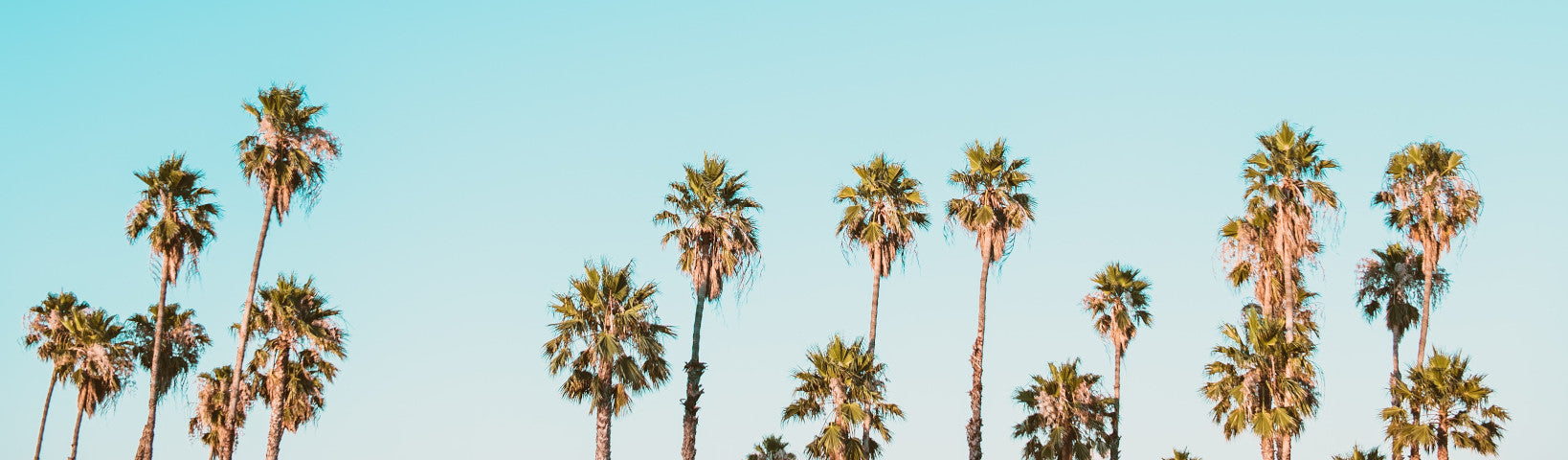 HOW TO TAKE CARE OF YOUR SKIN IN SUMMER - Jurlique US