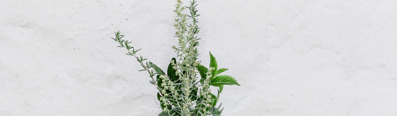 5 WAYS PLANTS CAN BOOST YOUR SKIN HEALTH - Jurlique US