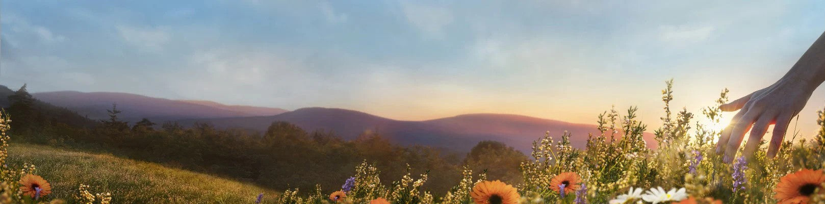 Jurlique Skincare Face Banner