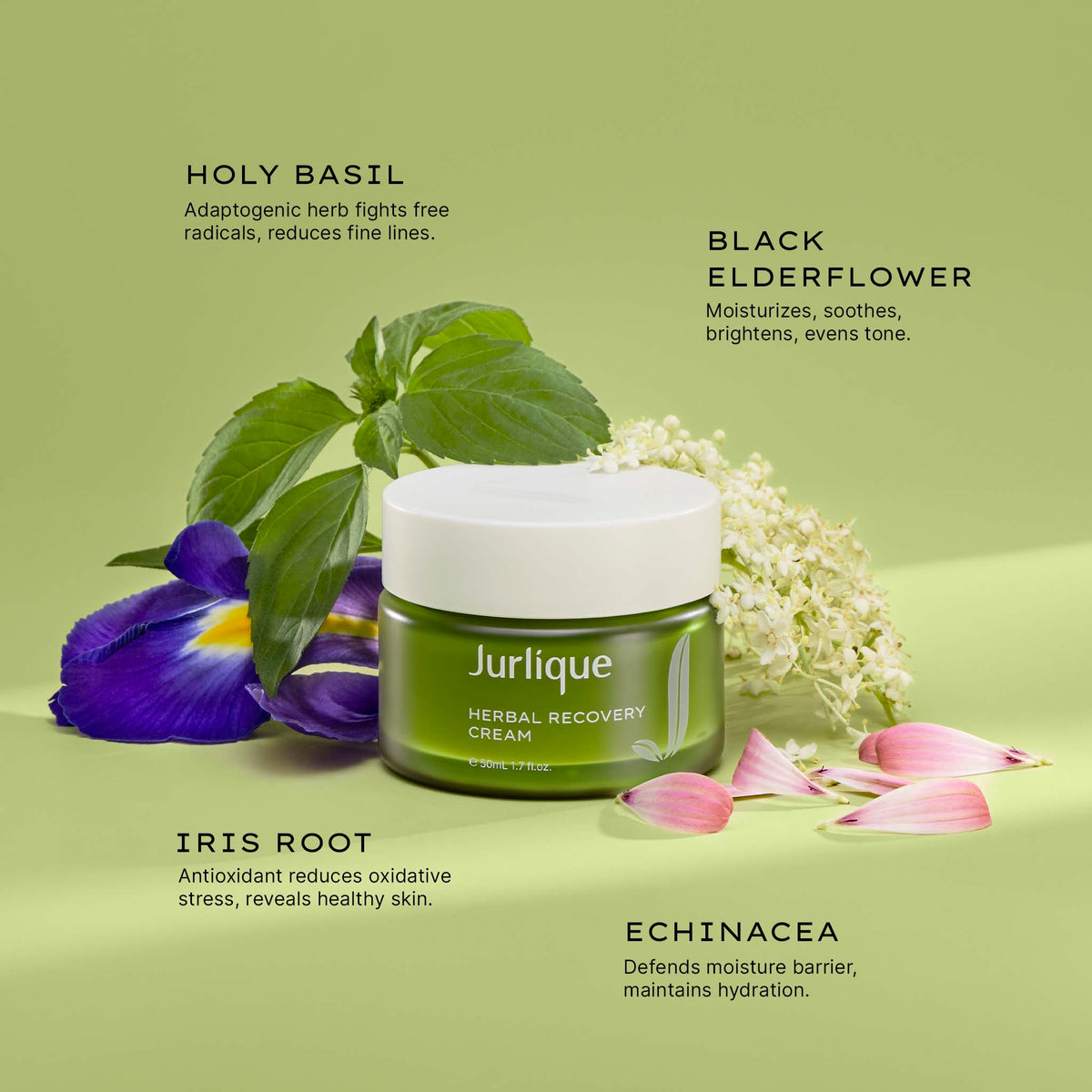 Herbal Recovery Face Cream | Jurlique Natural Skin Care – Jurlique US