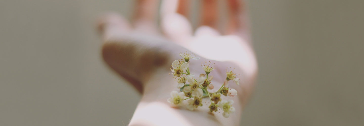 seed_to_Skin_desktop - Jurlique US