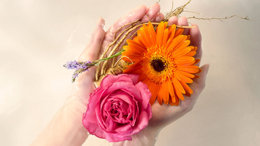 Hydrated Skin, powered by nature - Jurlique US