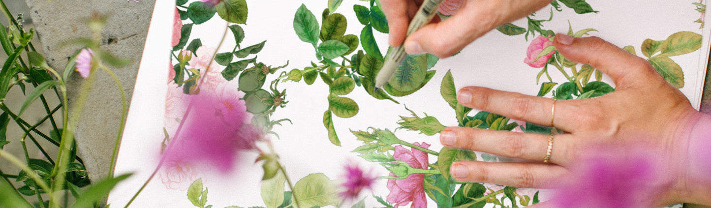 ADRIANA PICKER’S CREATIVE PROCESS - Jurlique US