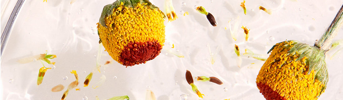 BOOST COLLAGEN WITH PLANT EXTRACTS - Jurlique US