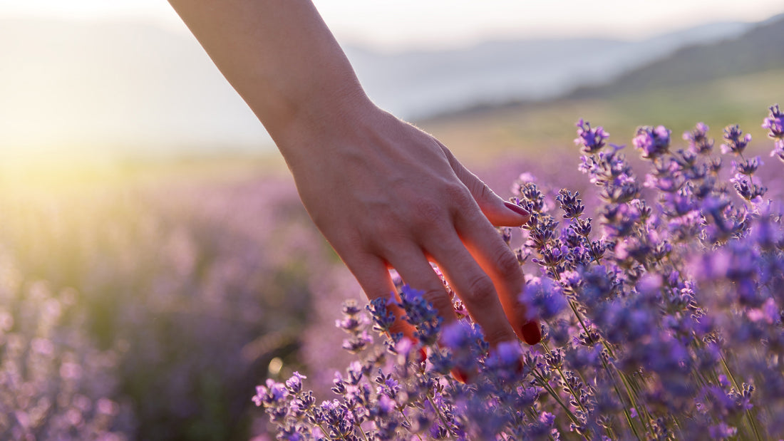 The Power Of touch