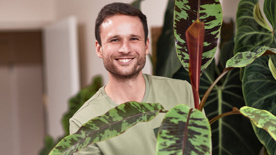 How indoor plants can help you destress with Jan Gettmann - Jurlique US