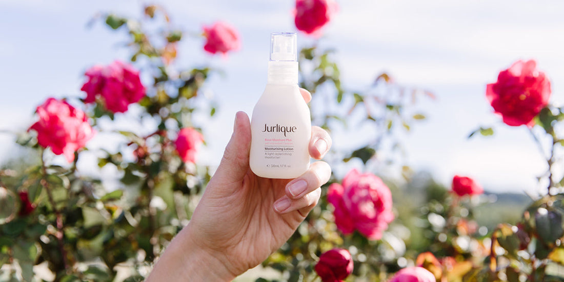 JOURNEY TO THE JAR: THE STORY OF OUR ROSE - Jurlique US