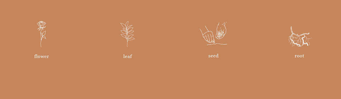 WHAT IS BIODYNAMIC FARMING…AND WHY DOES IT MATTER? - Jurlique US