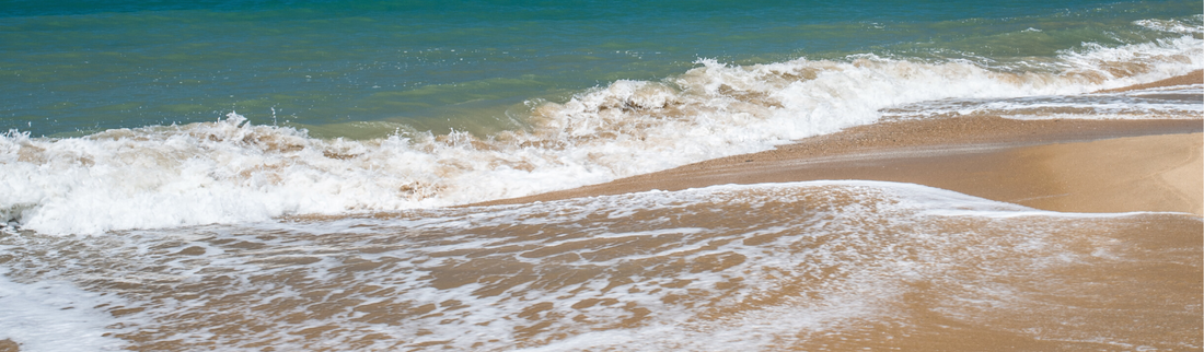 HARNESSING THE POWER OF AUSTRALIAN NATURE - Jurlique US