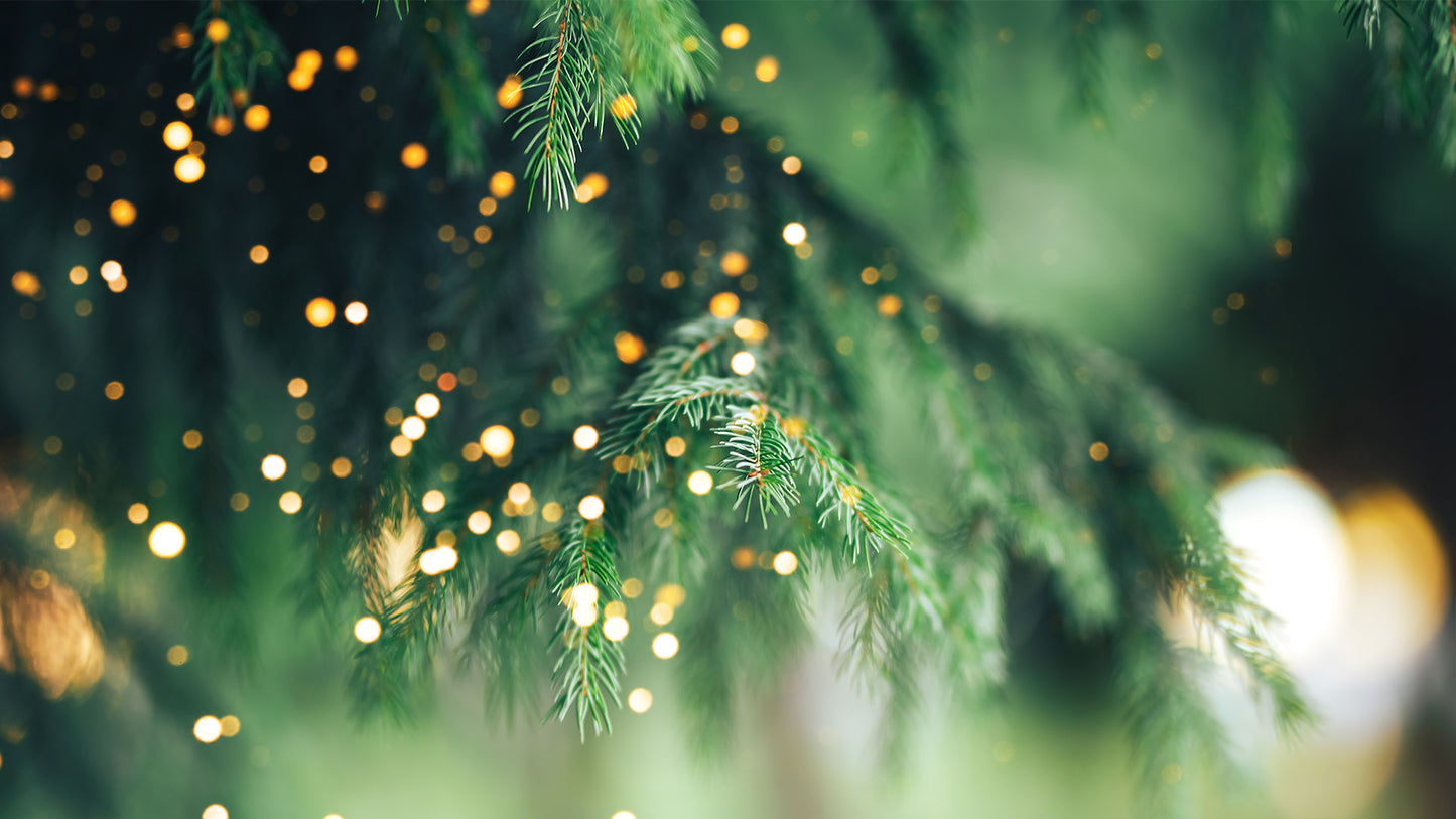 5 Ways To Celebrate This Holiday Season