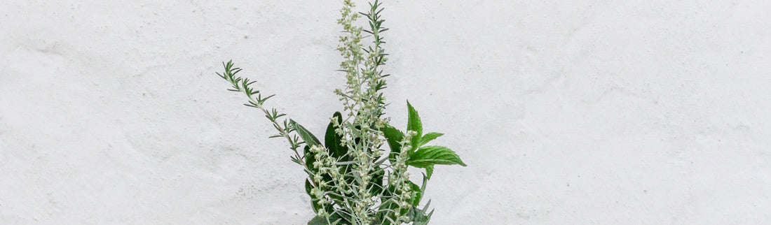 5 WAYS PLANTS CAN BOOST YOUR SKIN HEALTH - Jurlique US