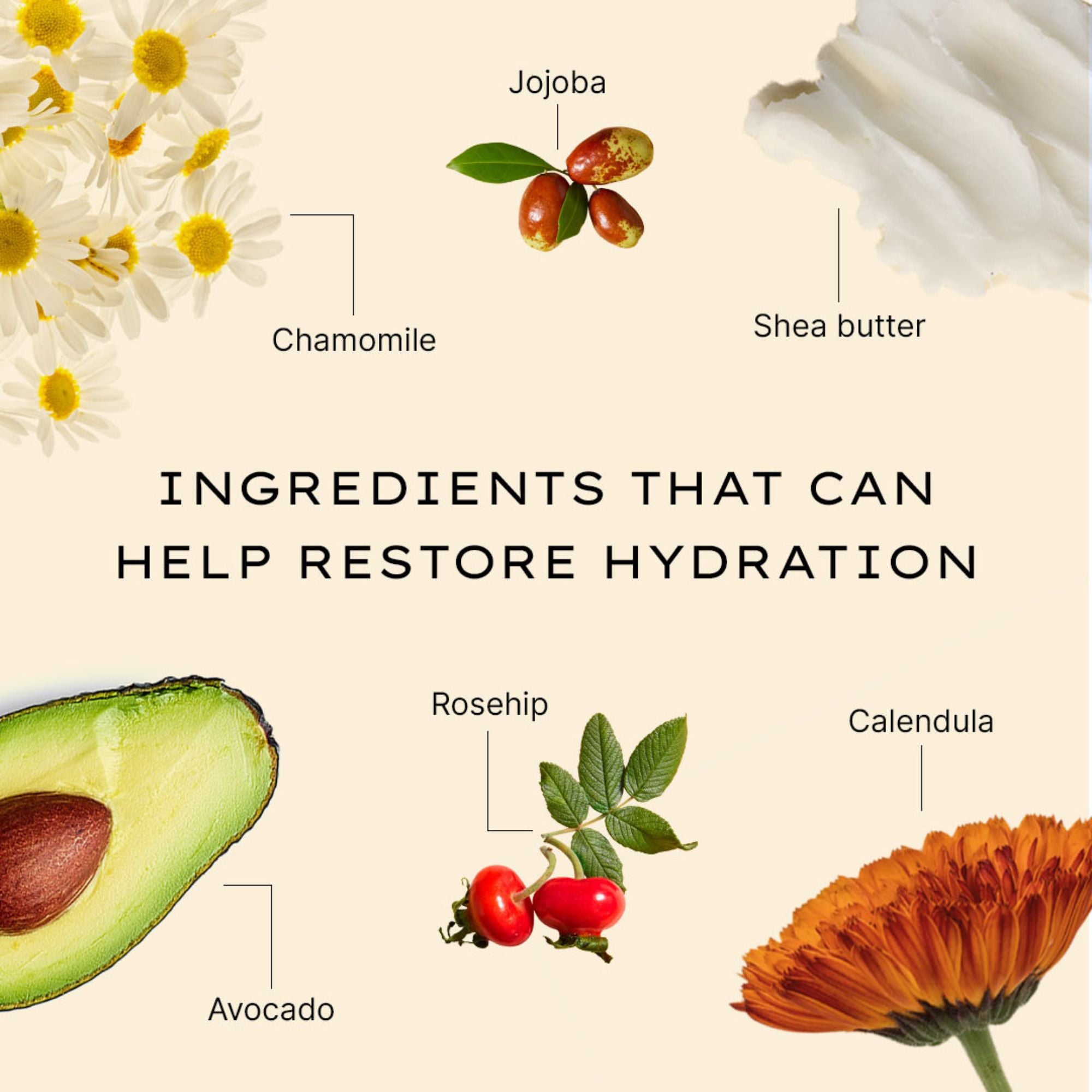 Moisture Replenishing Day Cream 8