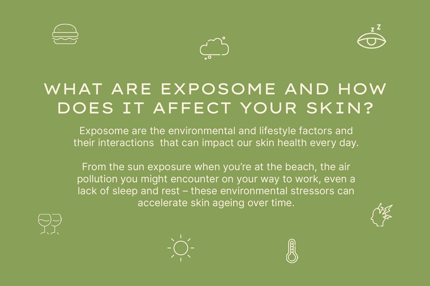Discover The New Herbal Recovery Collection – Jurlique US