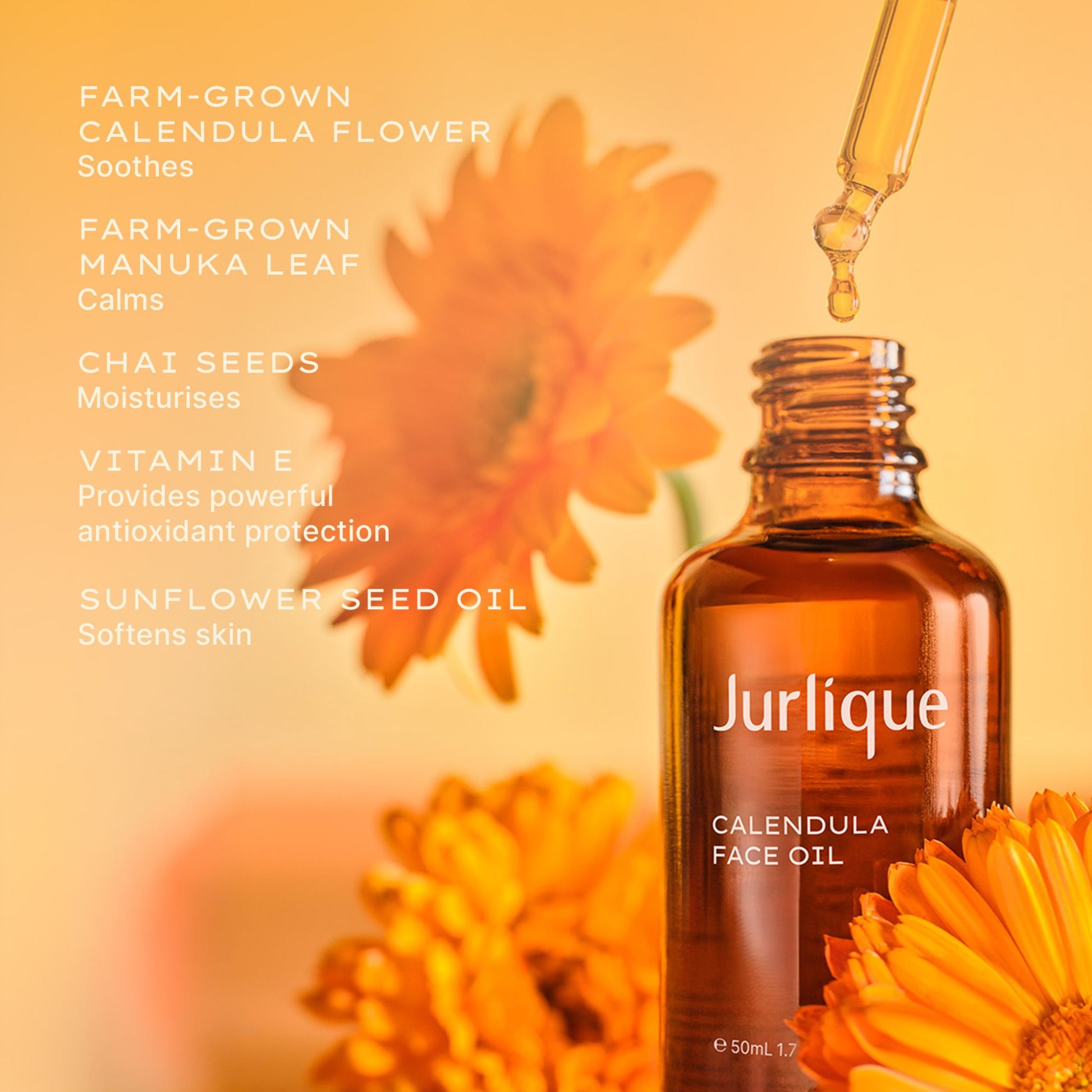 Calendula Face Oil Benefits and Ingredients Shotjpg