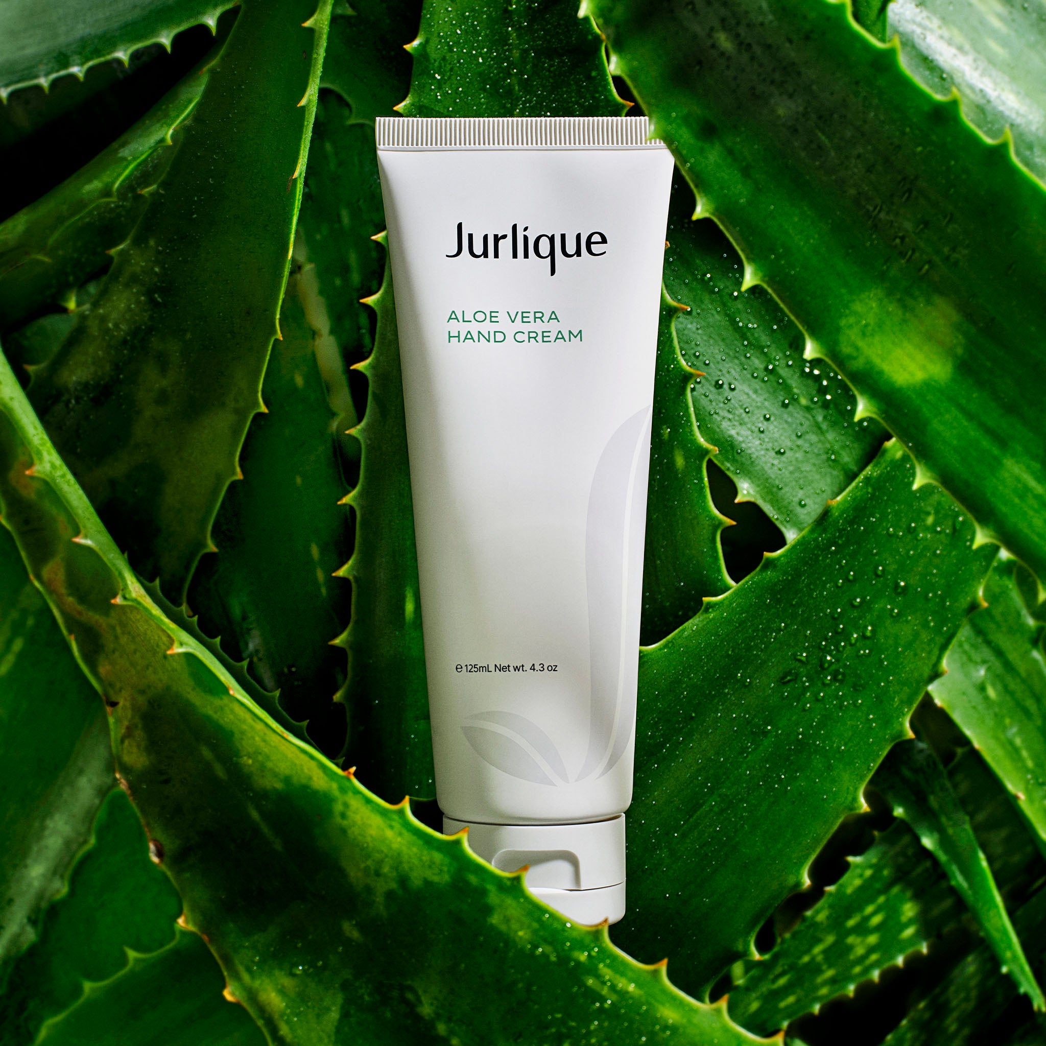 99% natural origin ingredients* | Aloe Vera Hand Cream – Jurlique US