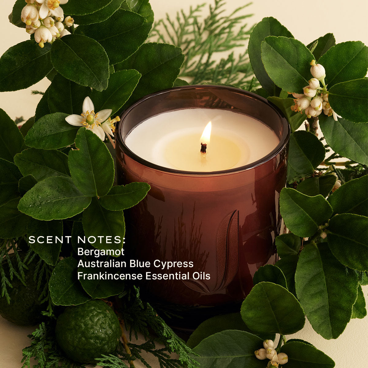 Candles – Jurlique US