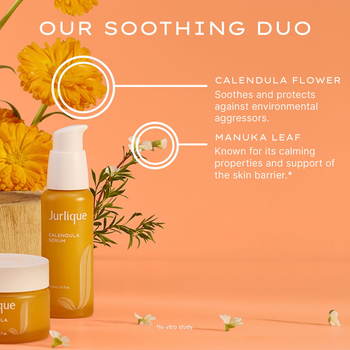 Calendula Serum