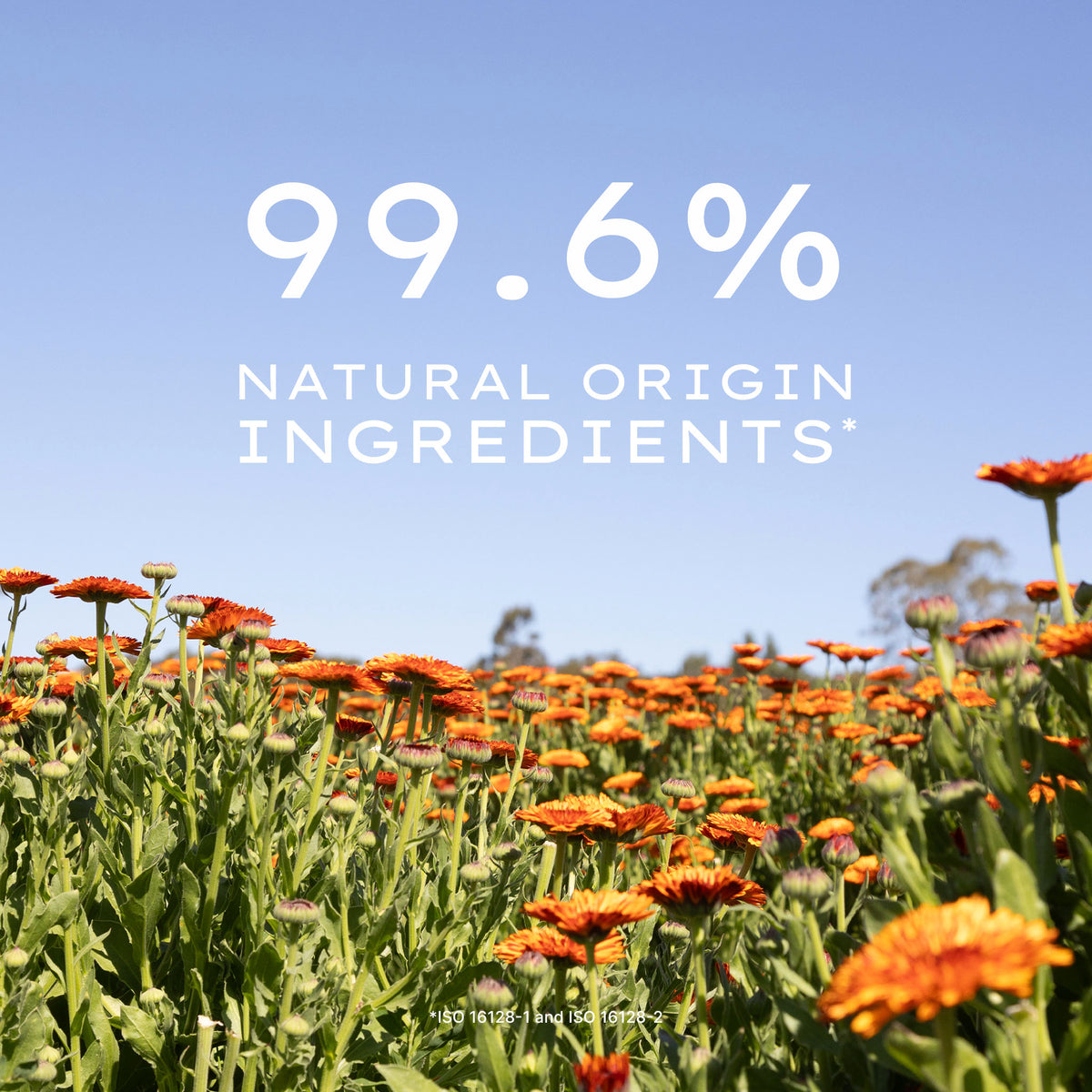 Calendula Serum