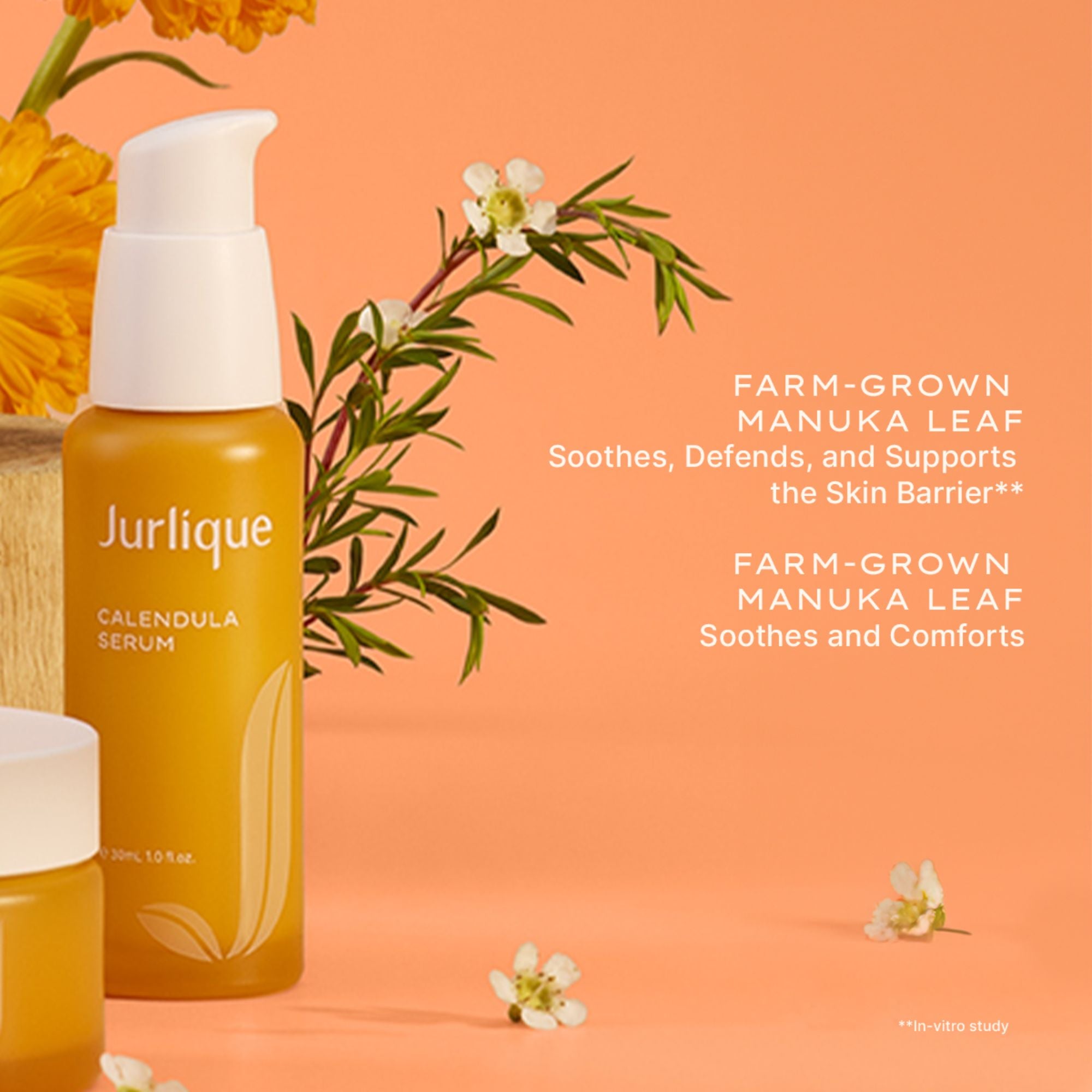 Calendula Serum 6