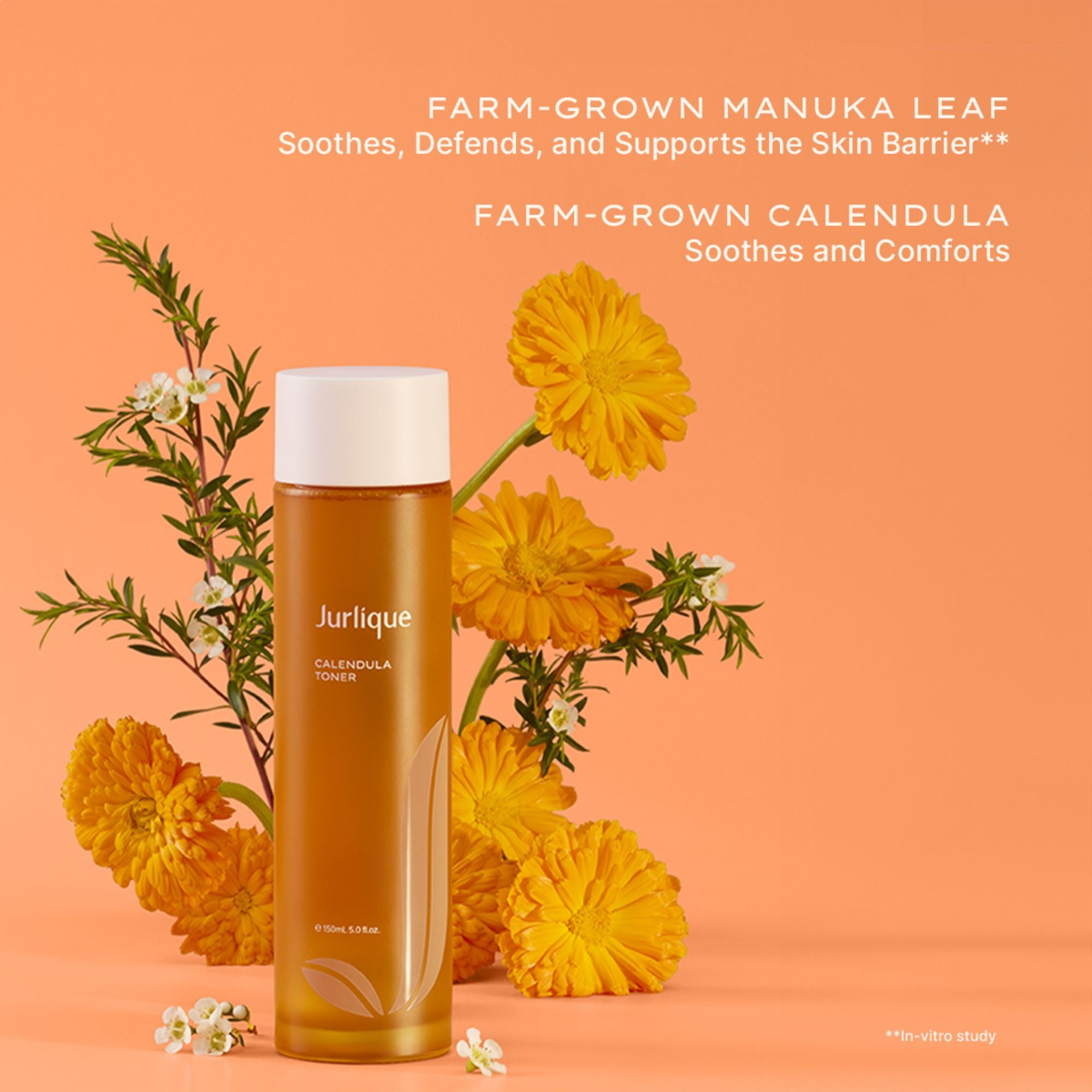 Calendula Toner