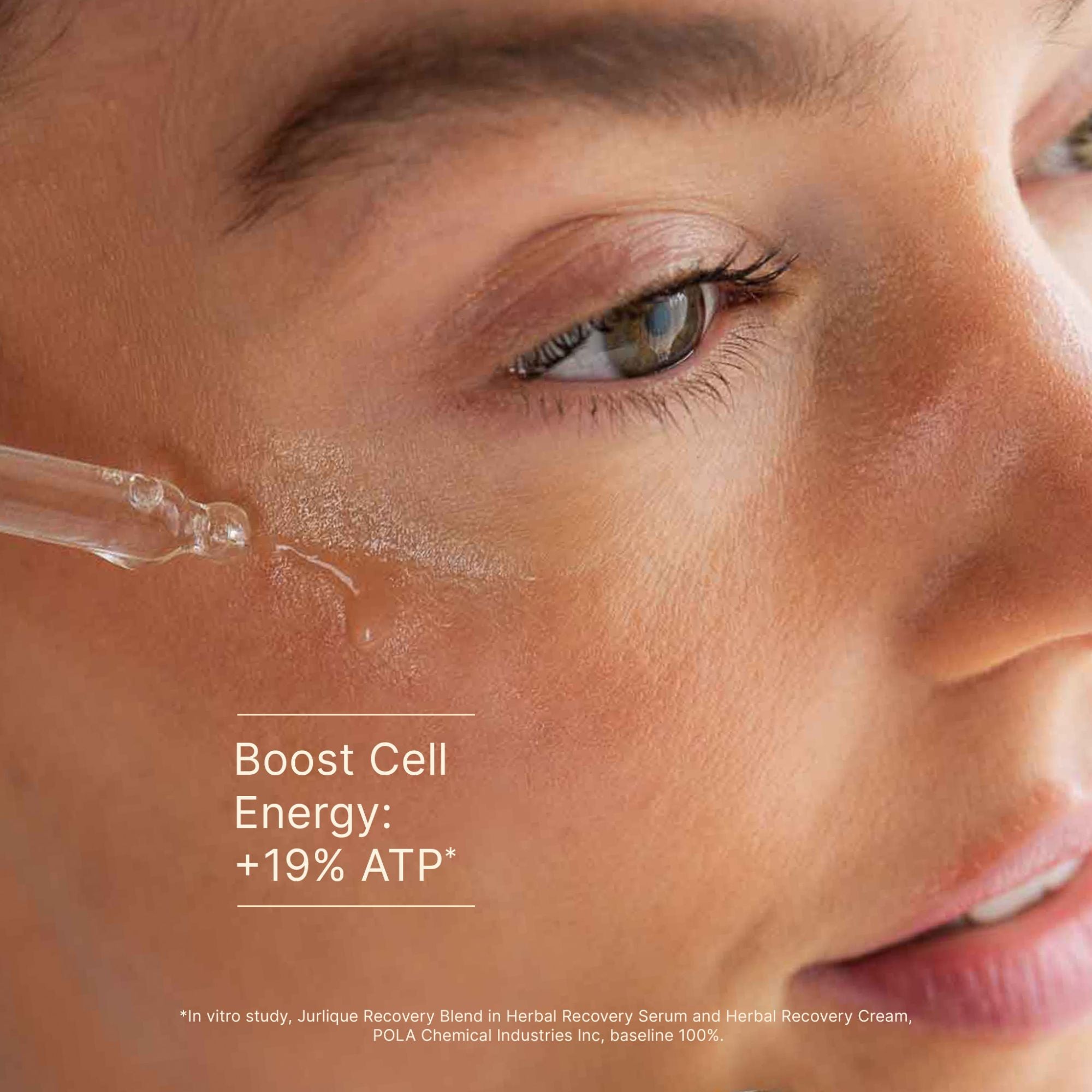 Herbal Recovery Bi-Phase Serum