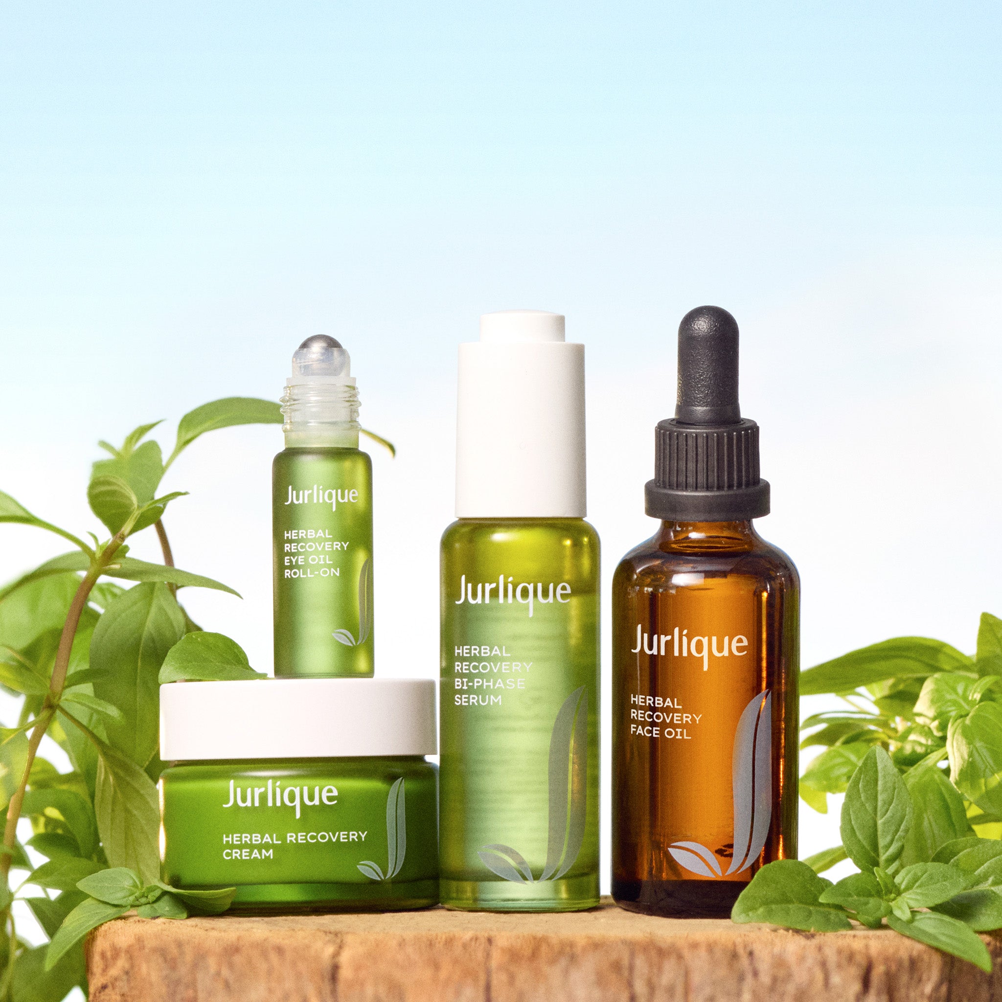 Discover The New Herbal Recovery Collection – Jurlique US