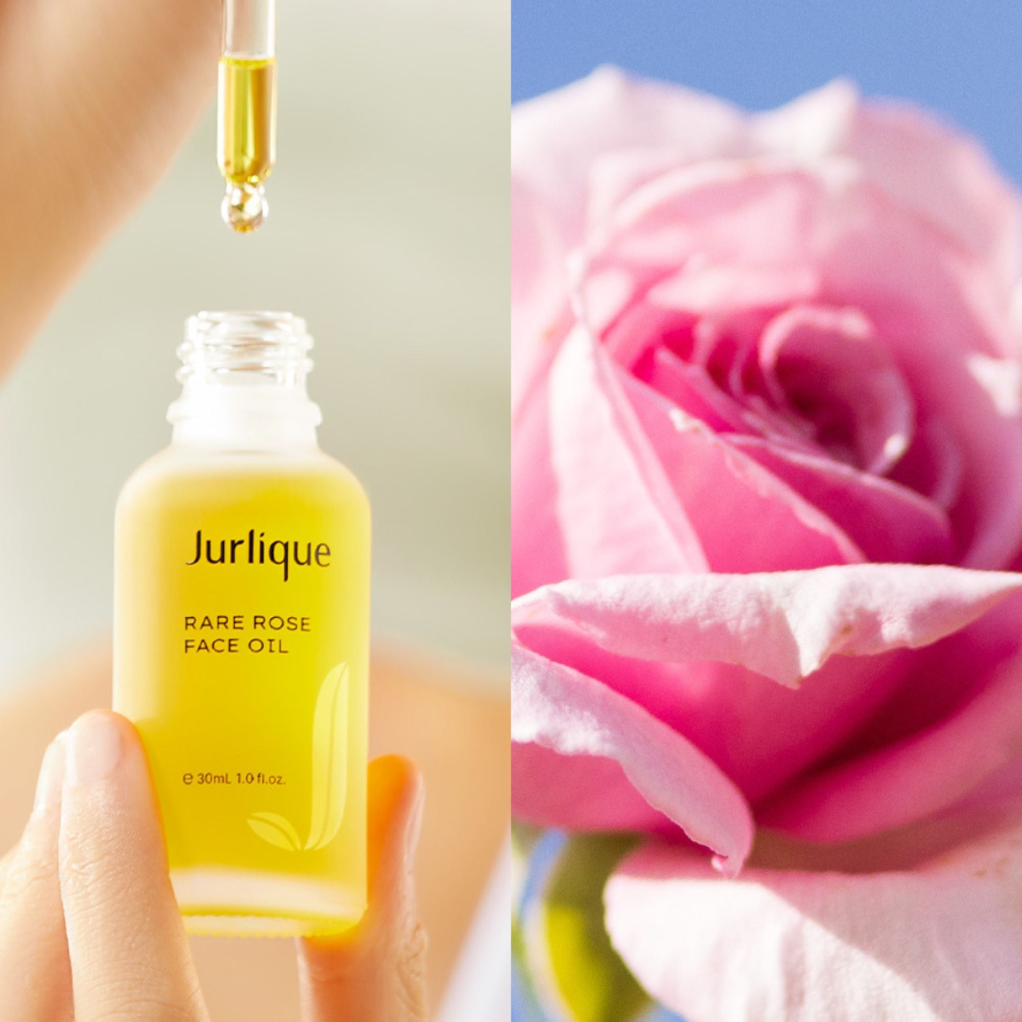 Jurlique Rare Rose Face Oil 3本セット Jurlique Natural Skincare | Rare Rose Face Oil – Jurlique