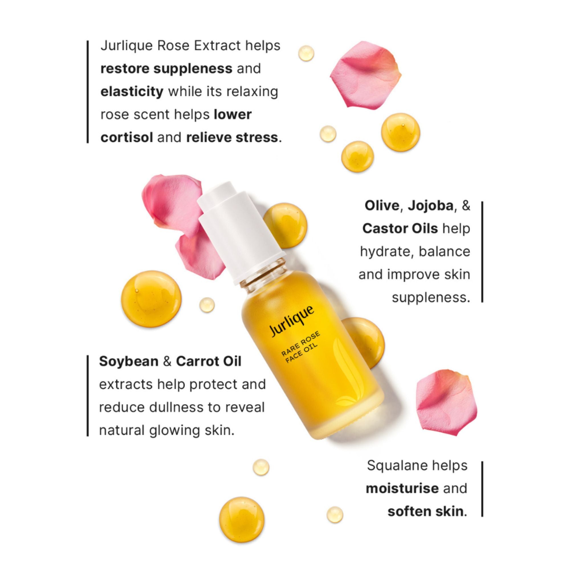 Rare Rose Face Oil | Jurlique Natural Skin Care – Jurlique US
